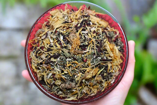 Best-Herbal-Tea-for-Natural-Energy-and-Gentle-Vitality Gaia's Garden Organics